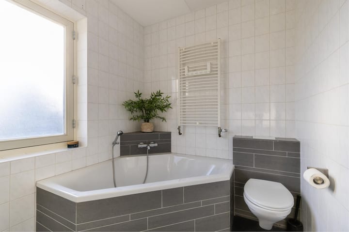 Foto 18 van Ringslang 2