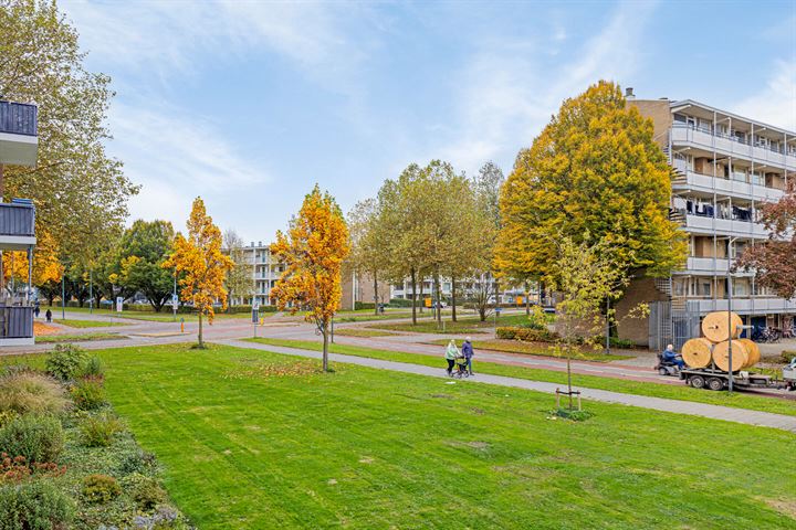 View photo 31 of Schrijverspark 179