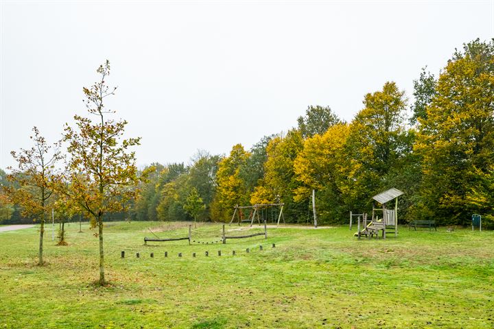 Bekijk foto 48 van Entweg 21