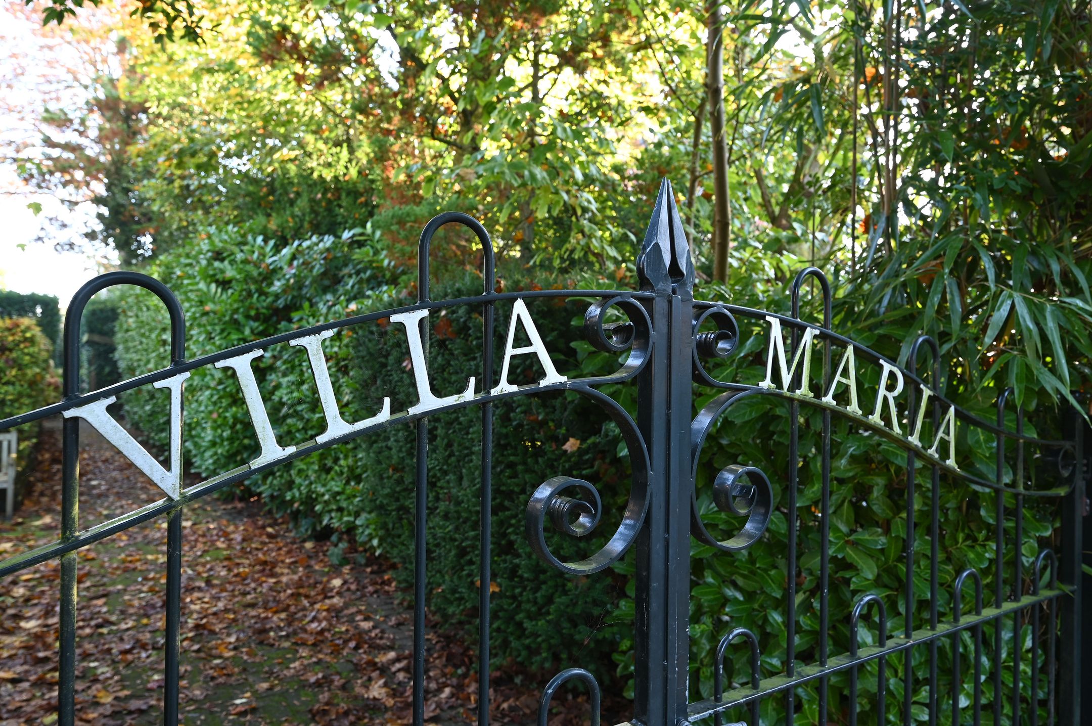 Foto 3 van Bothalaan 2