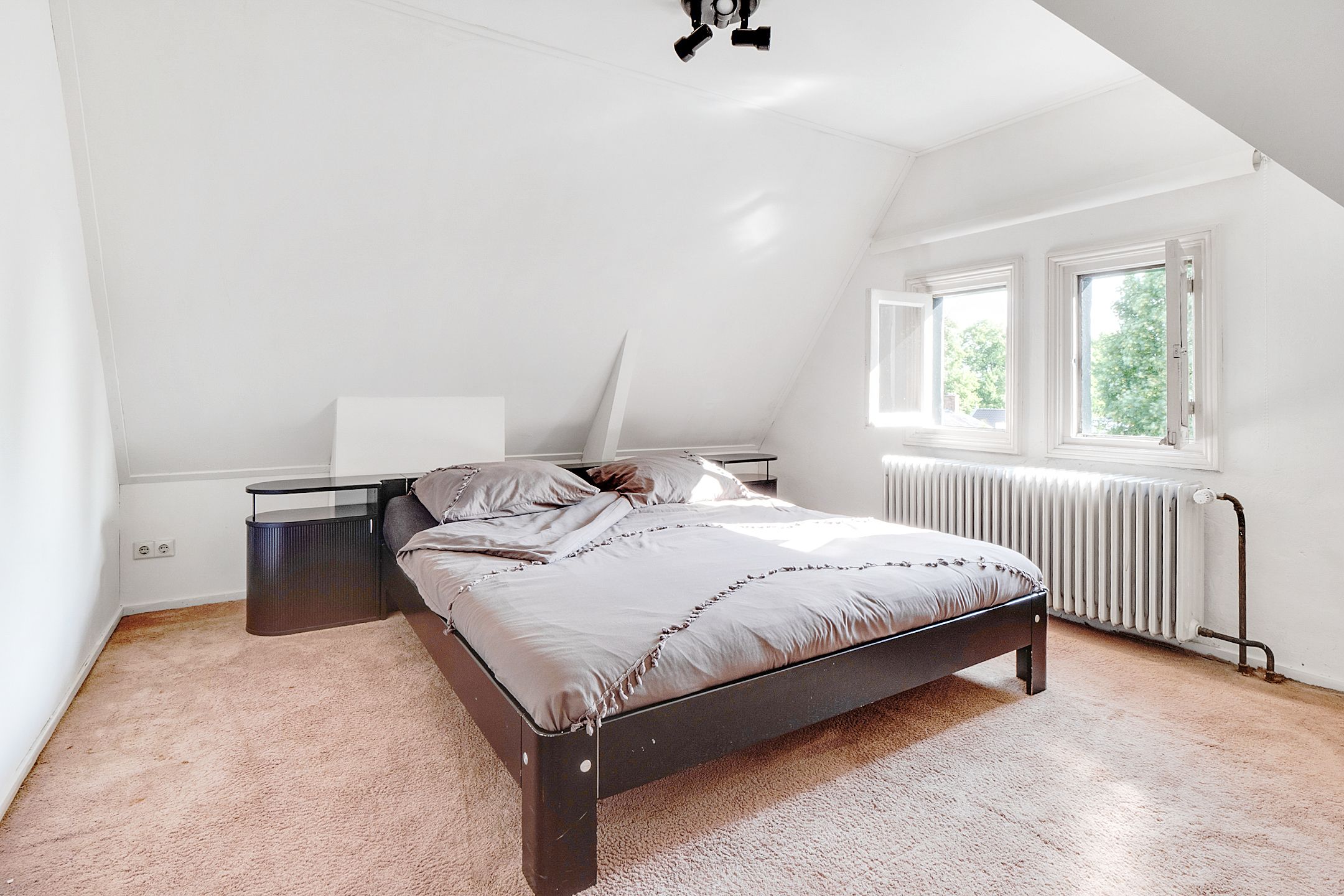 Foto 33 van Bothalaan 2