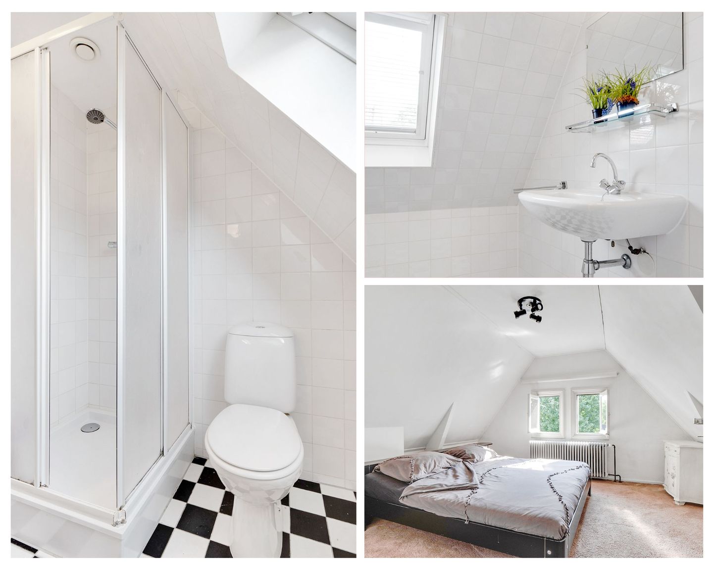 Foto 34 van Bothalaan 2