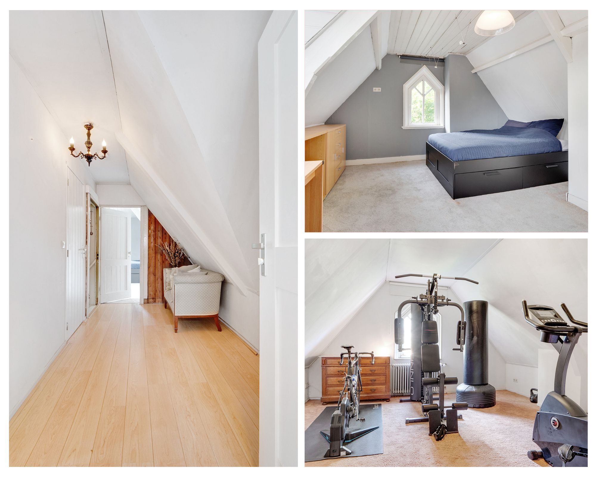 Foto 36 van Bothalaan 2