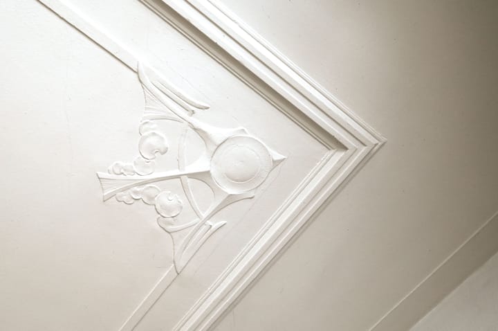 Photo 52 of Bothalaan 2