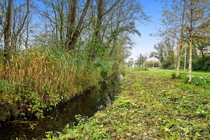 Foto 56 van Duinvallei 31