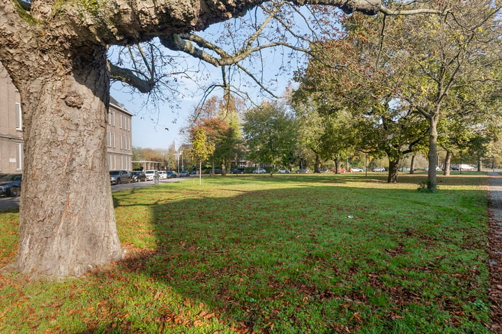 Bekijk foto 17 van Oudedijk 126-A