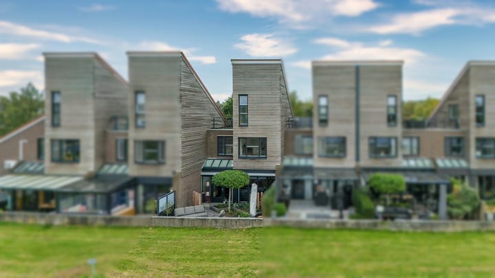 Foto 1 van Watermunt 152