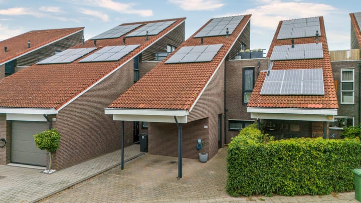 Foto 2 van Watermunt 152