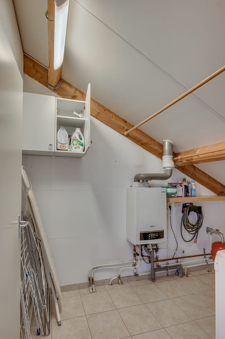 Foto 39 van Watermunt 152