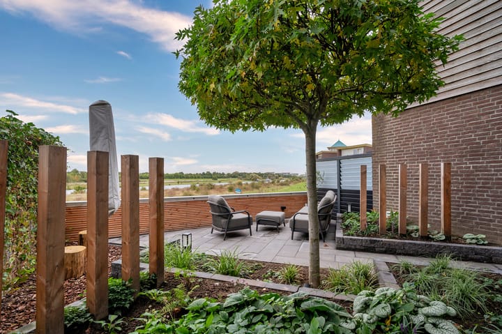 Foto 43 van Watermunt 152