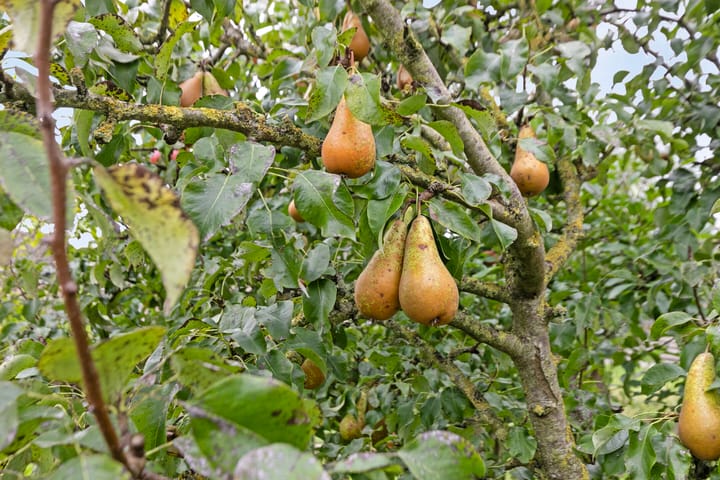 Foto 47 van De Akkers 1