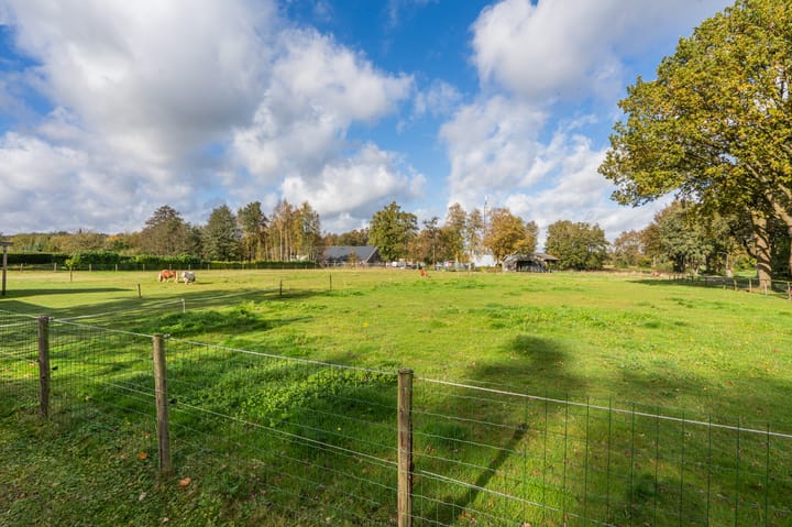 Foto 55 van Gieterstraat 43