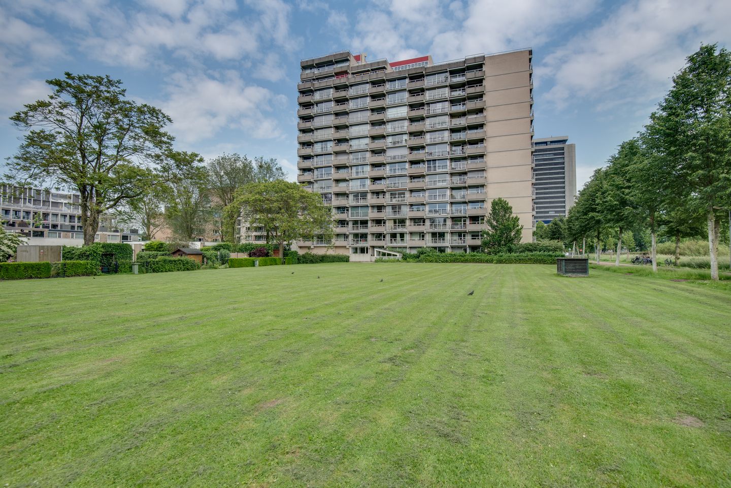 Foto 1 van Senecalaan 117