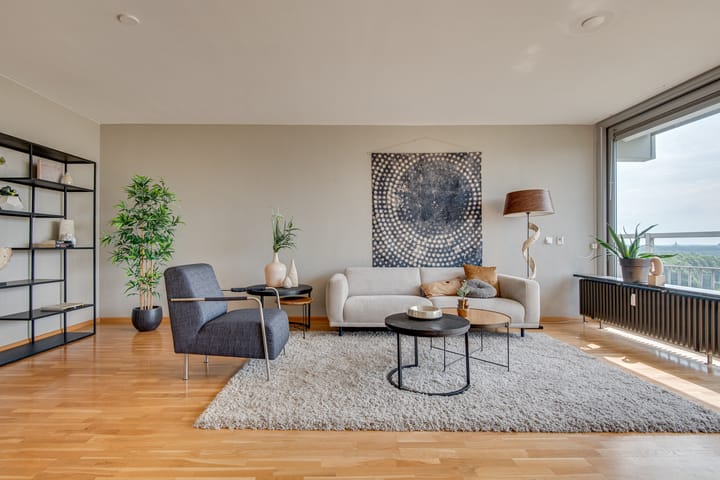 Foto 5 van Senecalaan 117