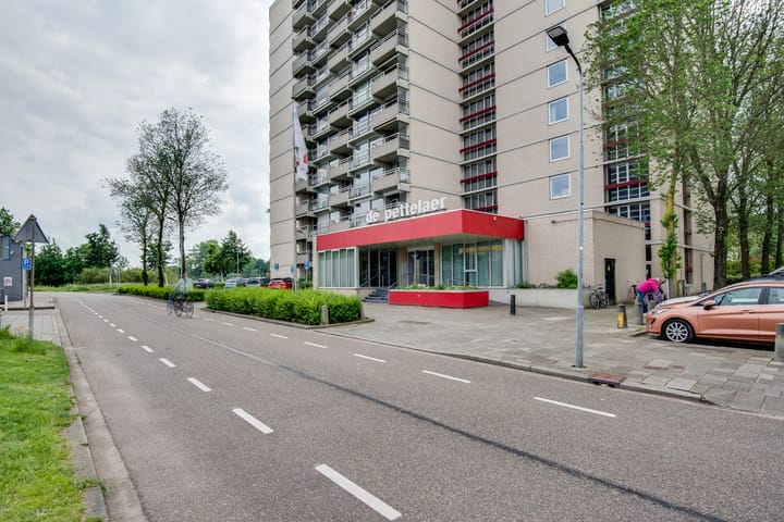 Foto 28 van Senecalaan 117