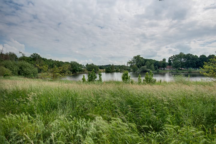 Foto 30 van Senecalaan 117