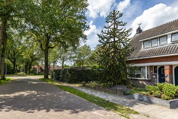 Westerwoldestraat thumbnail