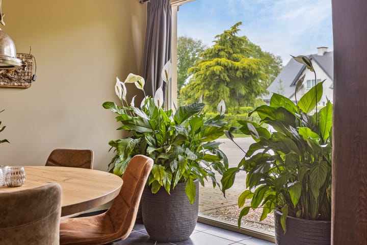 Foto 11 van Houtbroekdijk 19-A