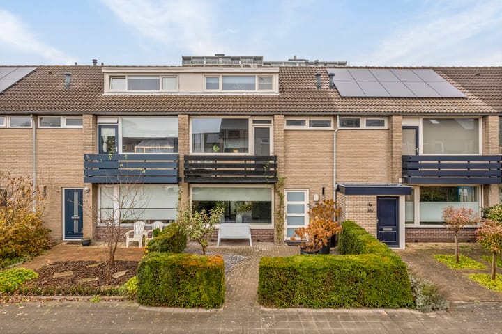 Foto 5 van Bergschot 384