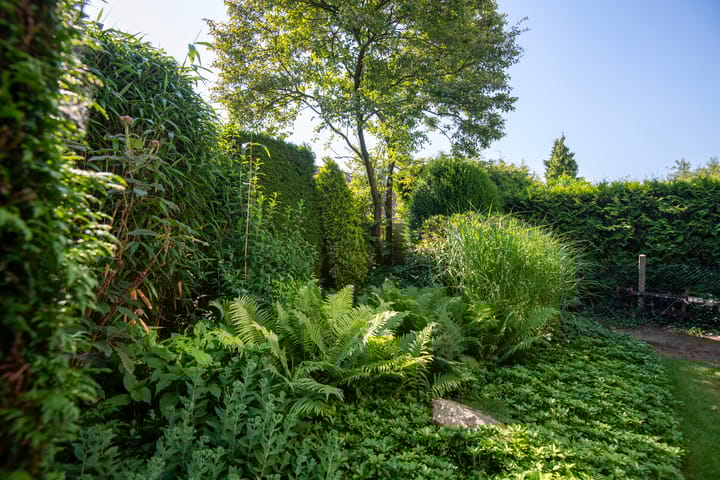 Foto 35 van Voorthuizerstraat 31