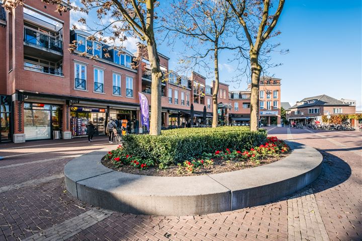 Wilhelminaplein 30, Rijen