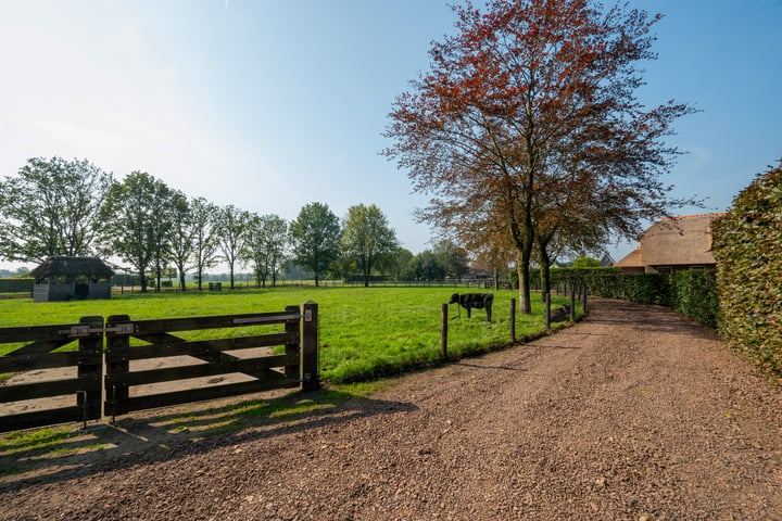 Bekijk foto 2 van Uddelerveen 44