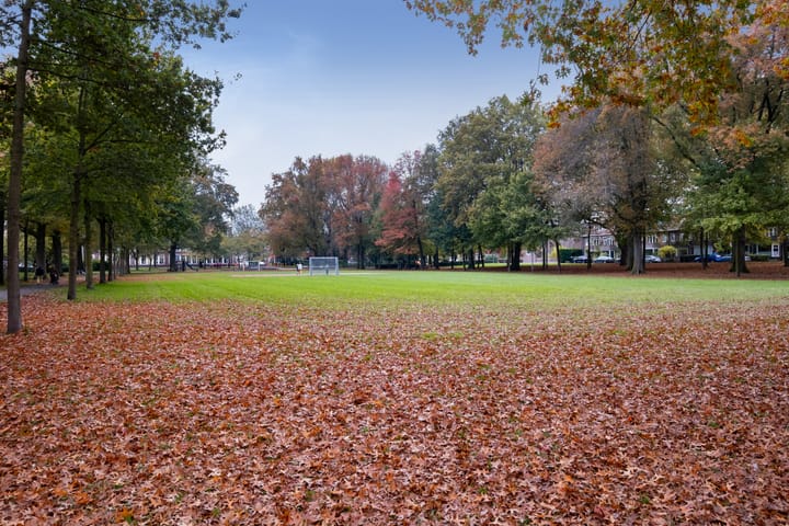 Photo 32 of Heijermansstraat 16-BSA