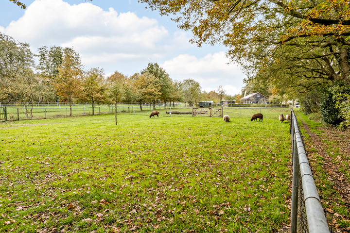 Bekijk foto 35 van Diamantstoep 23