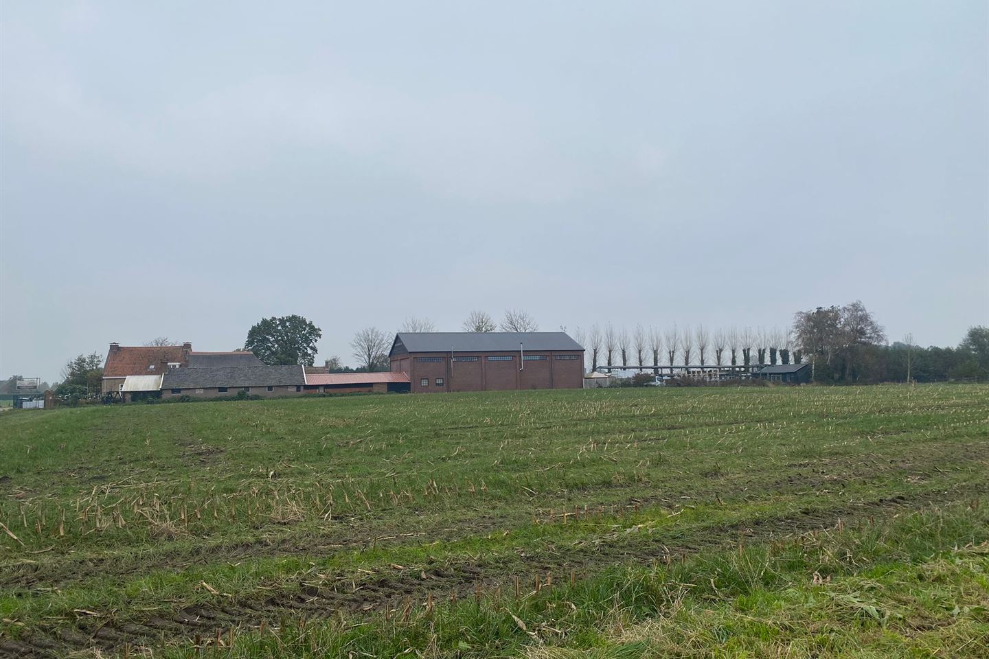 Bekijk foto 1 van Herelsestraat