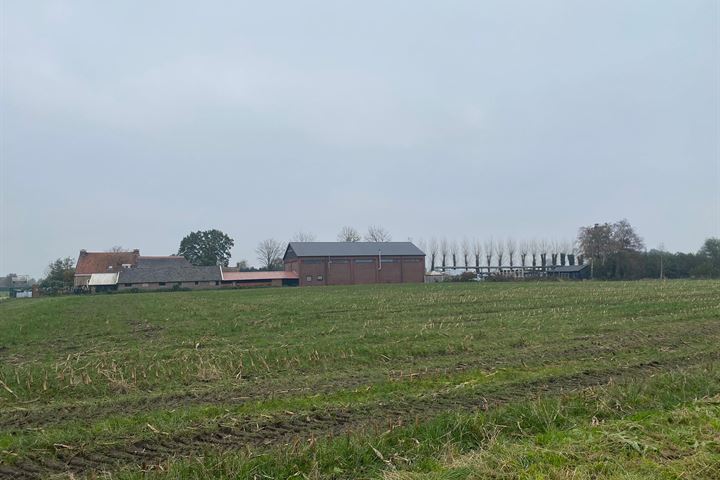 Bekijk foto van Herelsestraat 0 ong