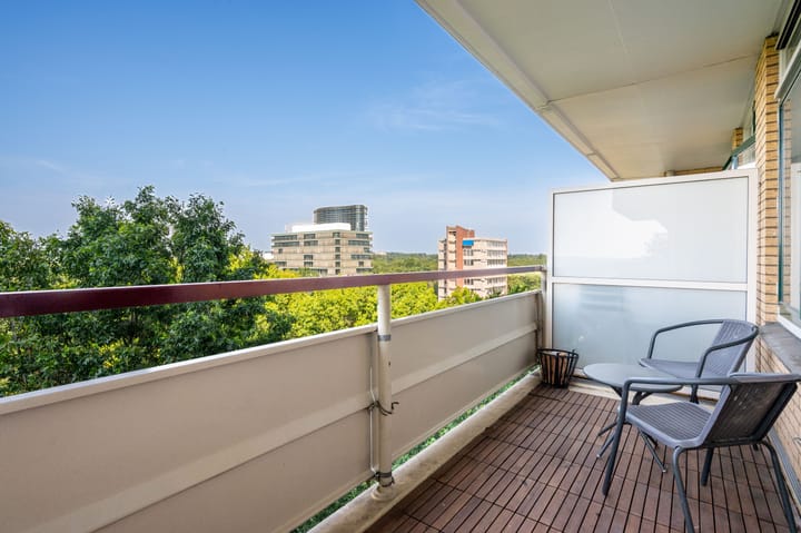 Foto 28 van Henri Dunantlaan 181