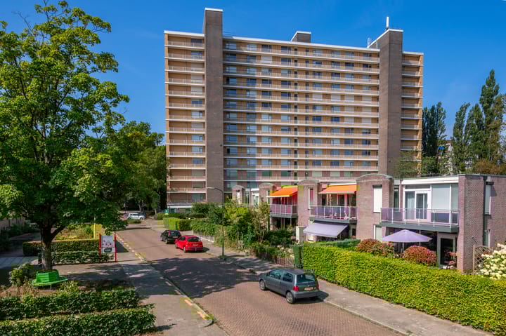 Foto 30 van Henri Dunantlaan 181