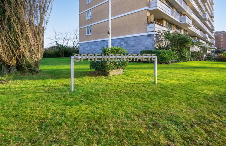 Foto 31 van Henri Dunantlaan 181