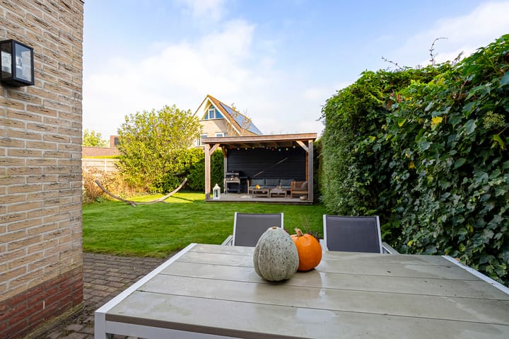 Foto 3 van Vogelzwin 27