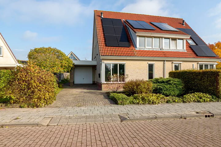 Foto 5 van Vogelzwin 27