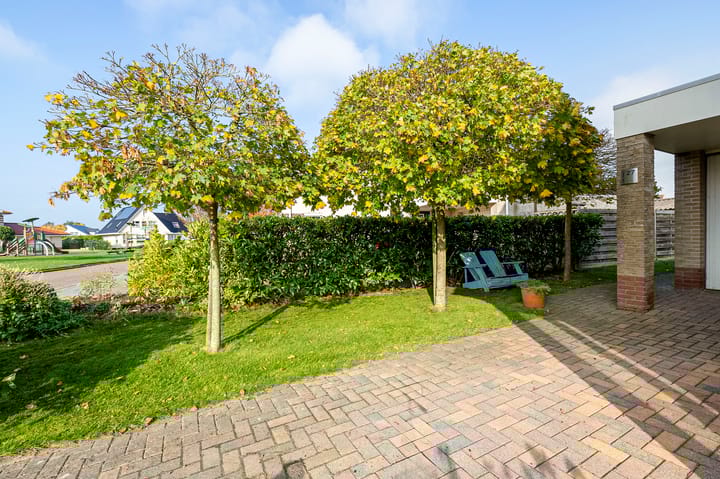 Foto 7 van Vogelzwin 27