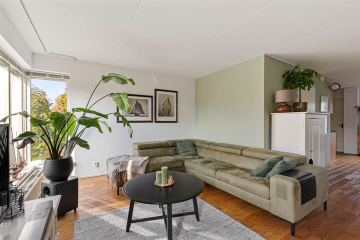 Foto 16 van Vogelzwin 27