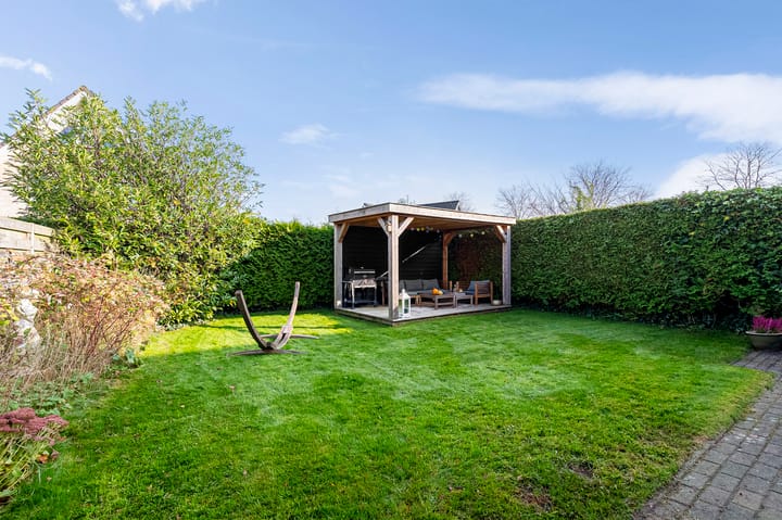 Foto 39 van Vogelzwin 27