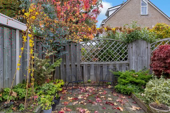 Foto 48 van Haydnstraat 26