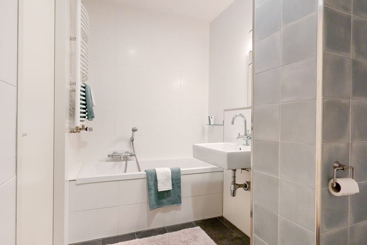 Foto 21 van Paardenbloemsingel 17