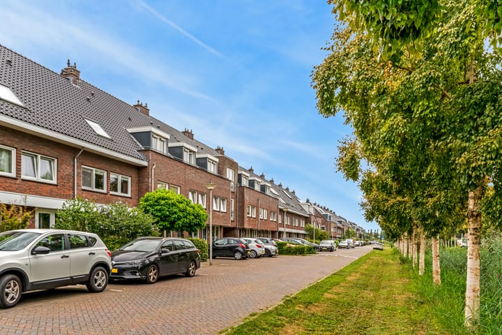 Foto 39 van Paardenbloemsingel 17