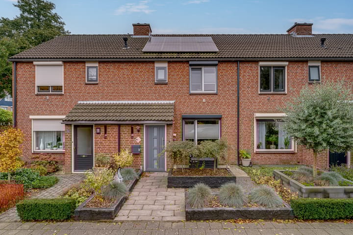 Foto 1 van de Lijsterbes 86