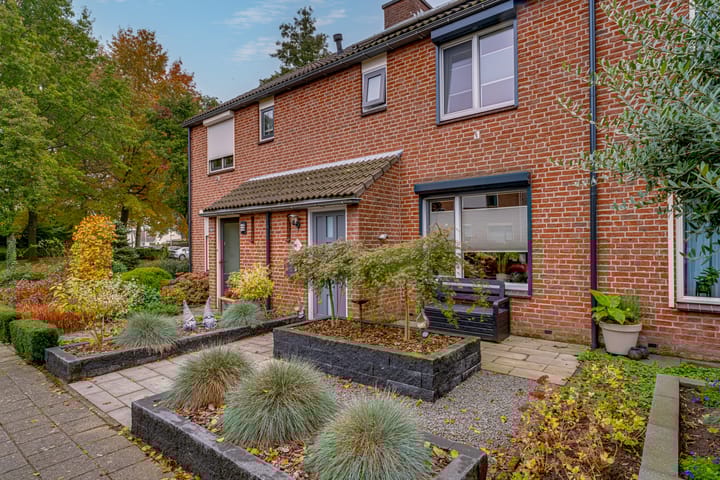 Foto 2 van de Lijsterbes 86