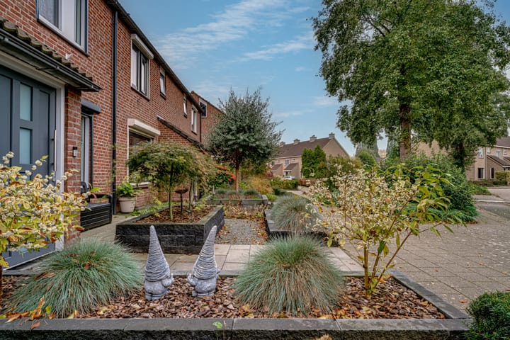 Foto 3 van de Lijsterbes 86