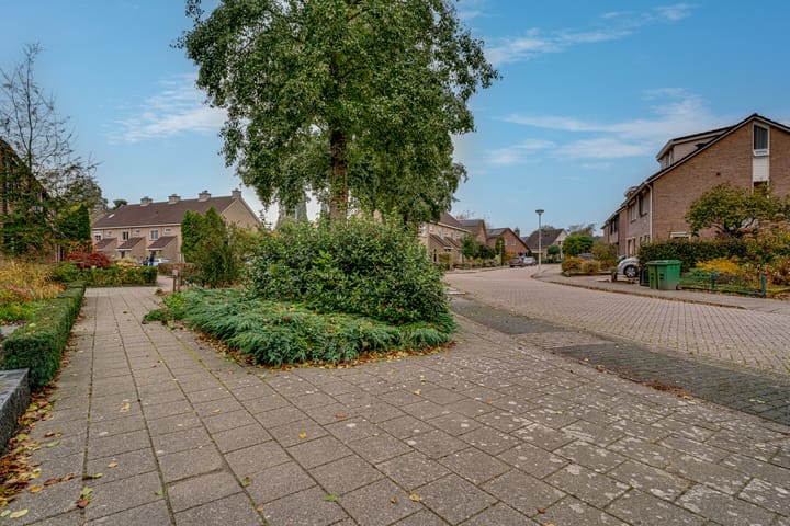 Foto 4 van de Lijsterbes 86