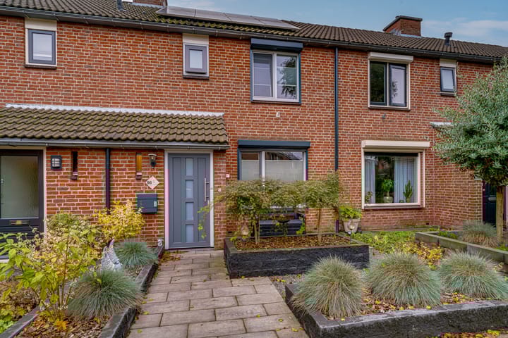 Foto 5 van de Lijsterbes 86