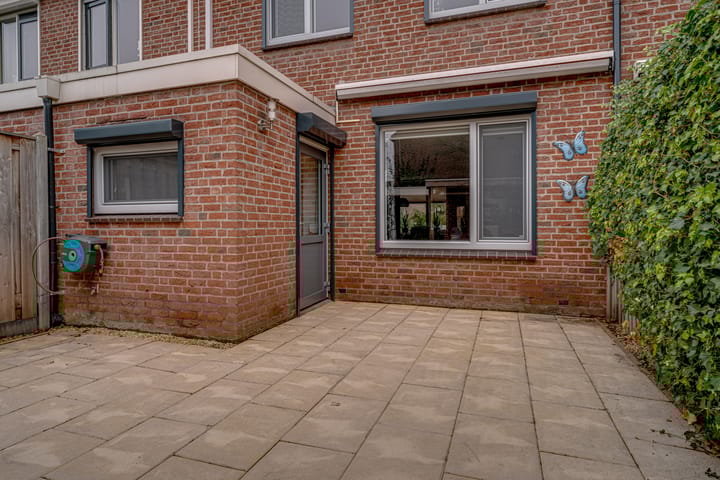 Foto 20 van de Lijsterbes 86