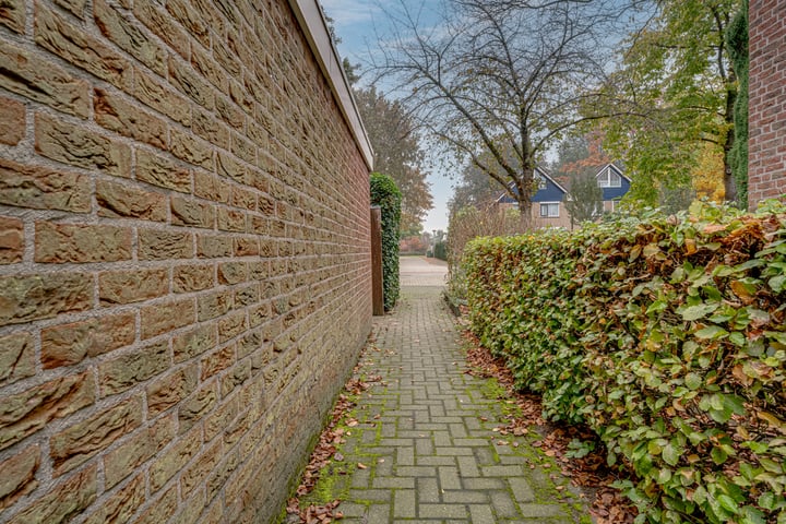 Bekijk foto 41 van de Lijsterbes 86