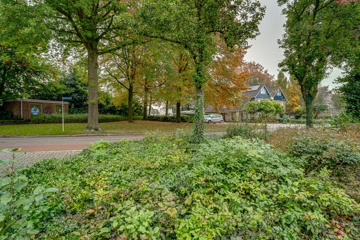 Foto 42 van de Lijsterbes 86