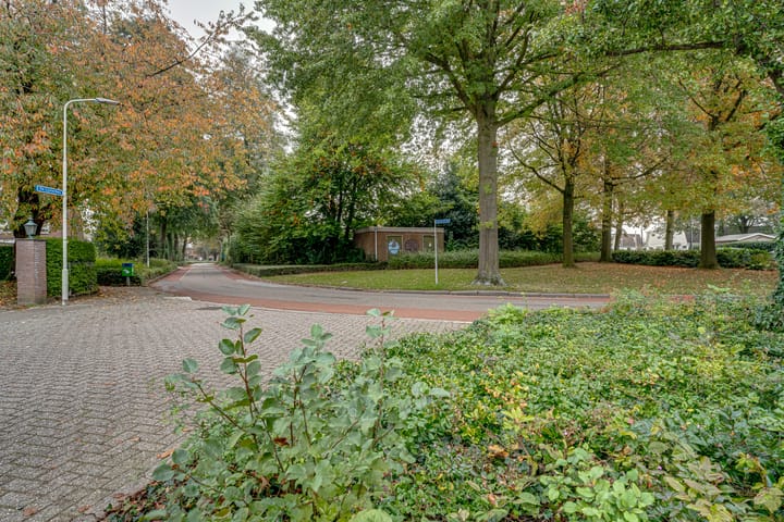 Foto 43 van de Lijsterbes 86